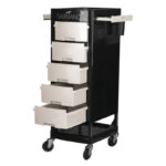 Assistente Parrucchiere Gabbiano Ft65 Nero / Bianco 1