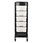 Assistente Parrucchiere Gabbiano Ft65 Nero / Bianco 2
