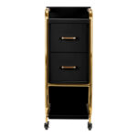 Assistente Parrucchiere Gabbiano Solo Oro – Nero 2