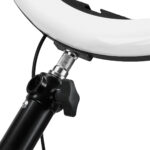 Gancio Per Lampada Ad Anello 4