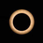 Lampada A Led Snake Ring Lampada Su Scrivania Nera 4