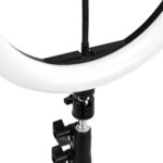 Lampada Ad Anello Glow Da 13" Bsc Con Treppiede 10W 11