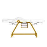 Poltrona Cosmetica 557G Con Cuvette Bianche 7