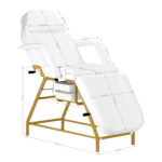 Poltrona Cosmetica 557G Con Cuvette Bianche 18