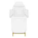 Poltrona Cosmetica 557G Con Cuvette Bianche 3