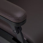 Poltrona Da Barbiere Elettrica Gabbiano Duke Marrone 7