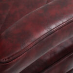 Poltrona Da Barbiere Hair System Bm88066 Bordeaux 13