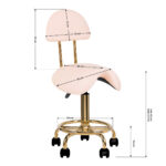 Sgabello Cosmetico 6001-G Oro – Rosa Seconda Categoria 8