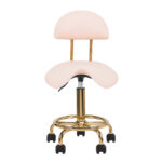 Sgabello Cosmetico 6001-G Oro – Rosa Seconda Categoria 2