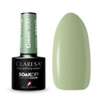 Smalto Ibrido Claresa Verde 800 -5G