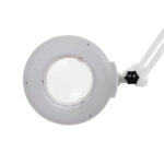 DD Wellness lampada lente d'ingrandimento LED base a stella bianco